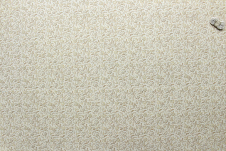 シェビソーン　丸い花<br>
ベージュ